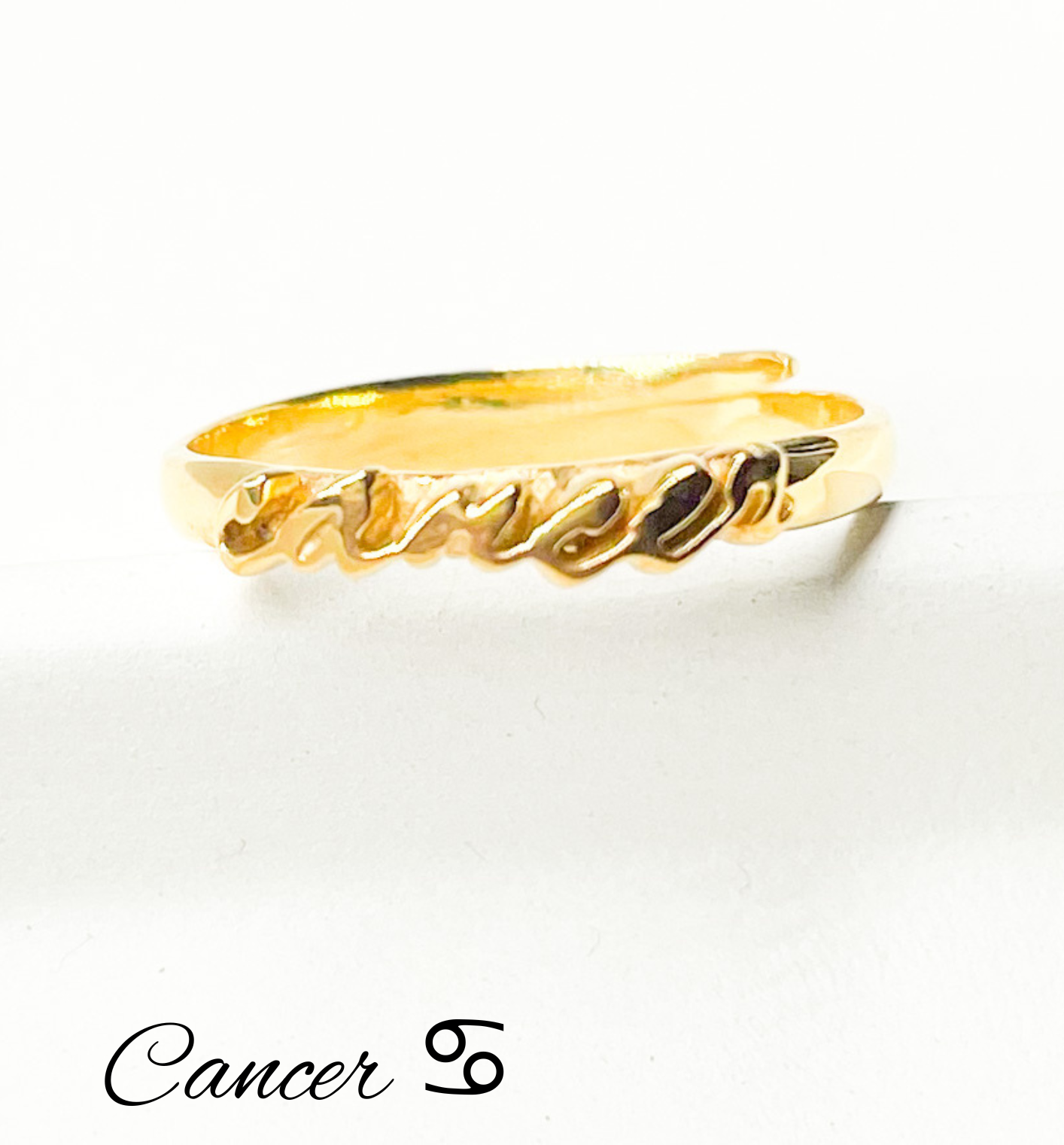 Zodiac Rings - Sterling w/18k Gold Plate