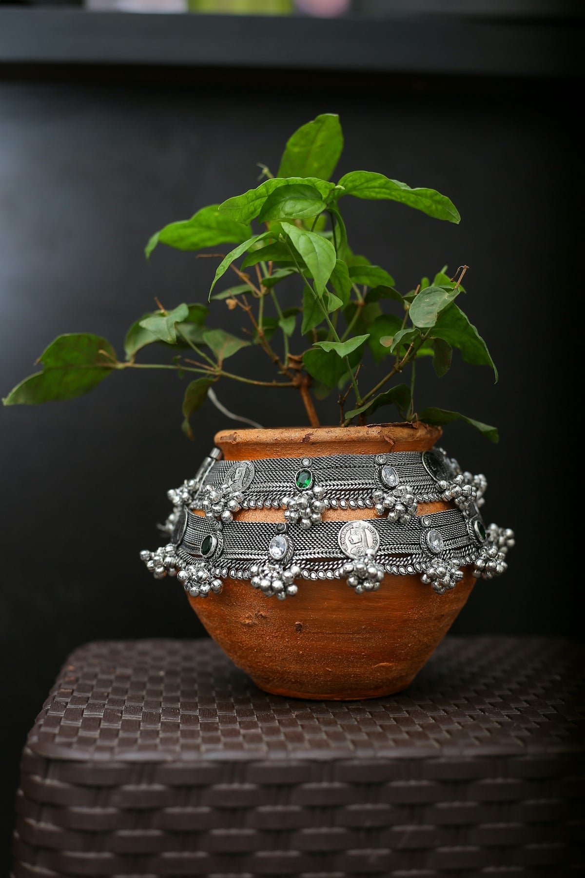 green plant in brown pot