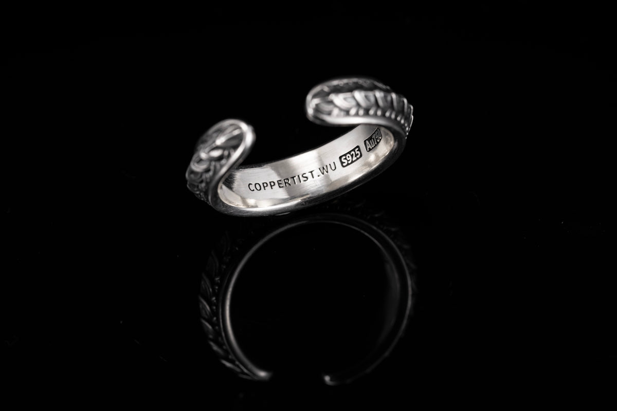 a close up of a silver ring on a black background