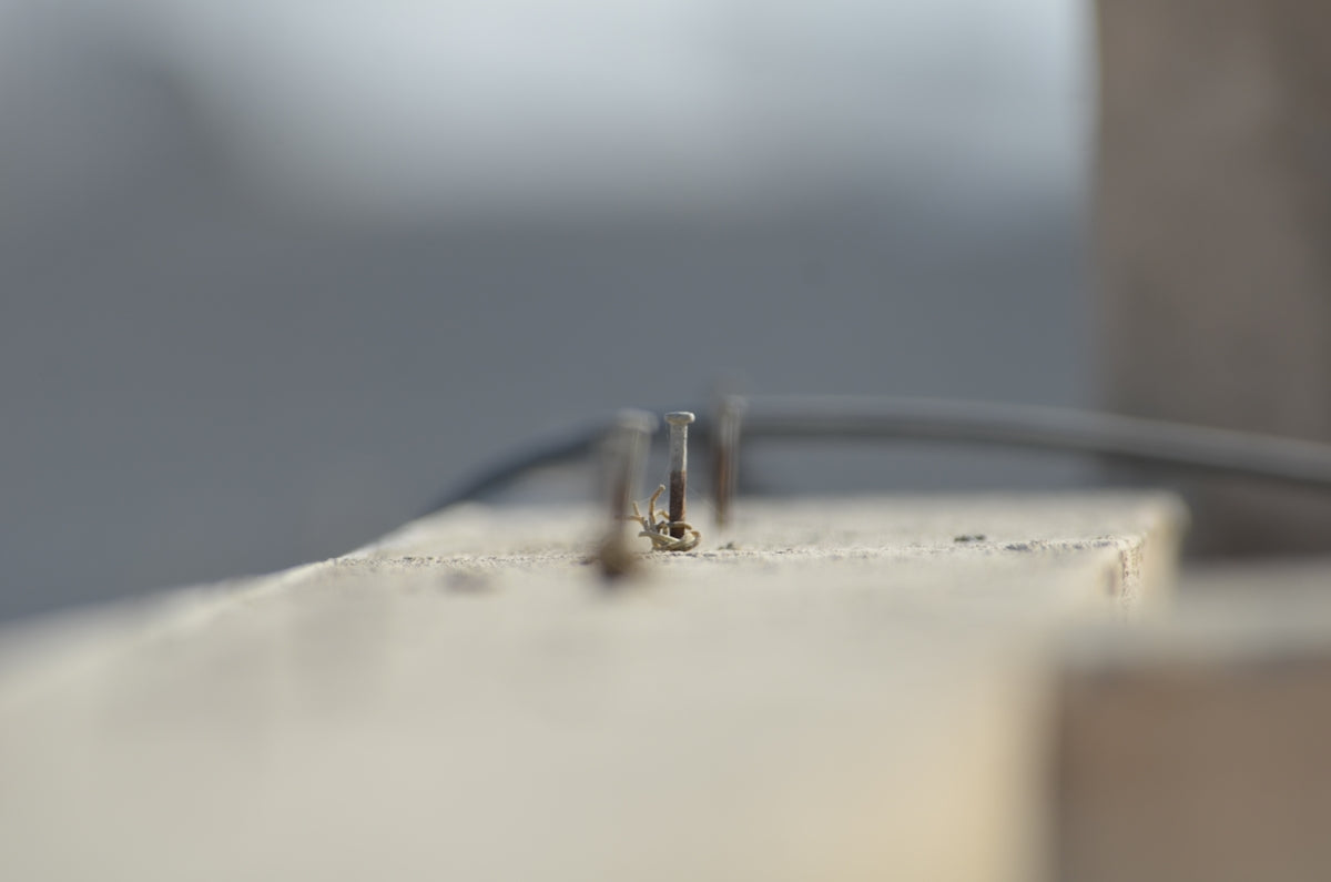 A couple of small silver rings sitting on top of a table