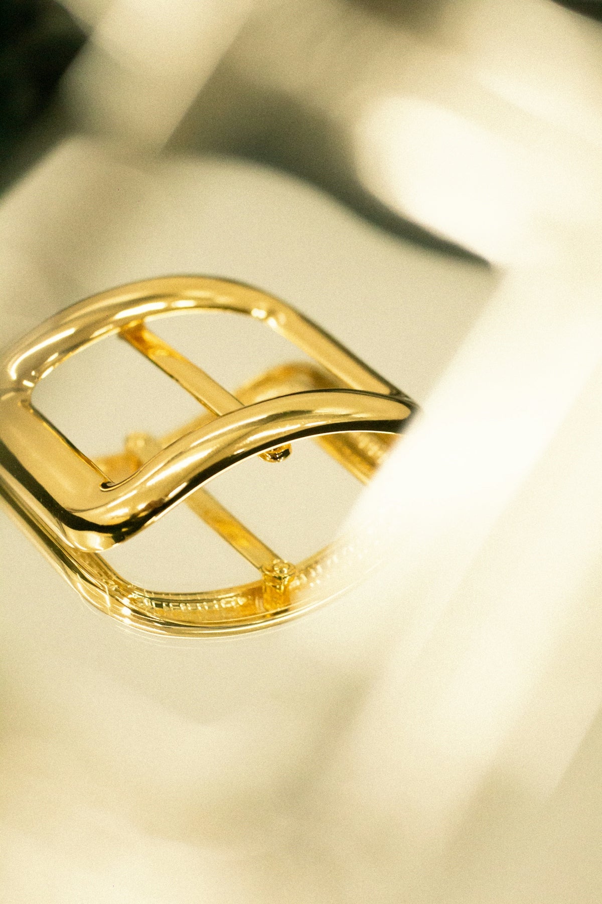 Golden buckle reflecting on a shiny surface