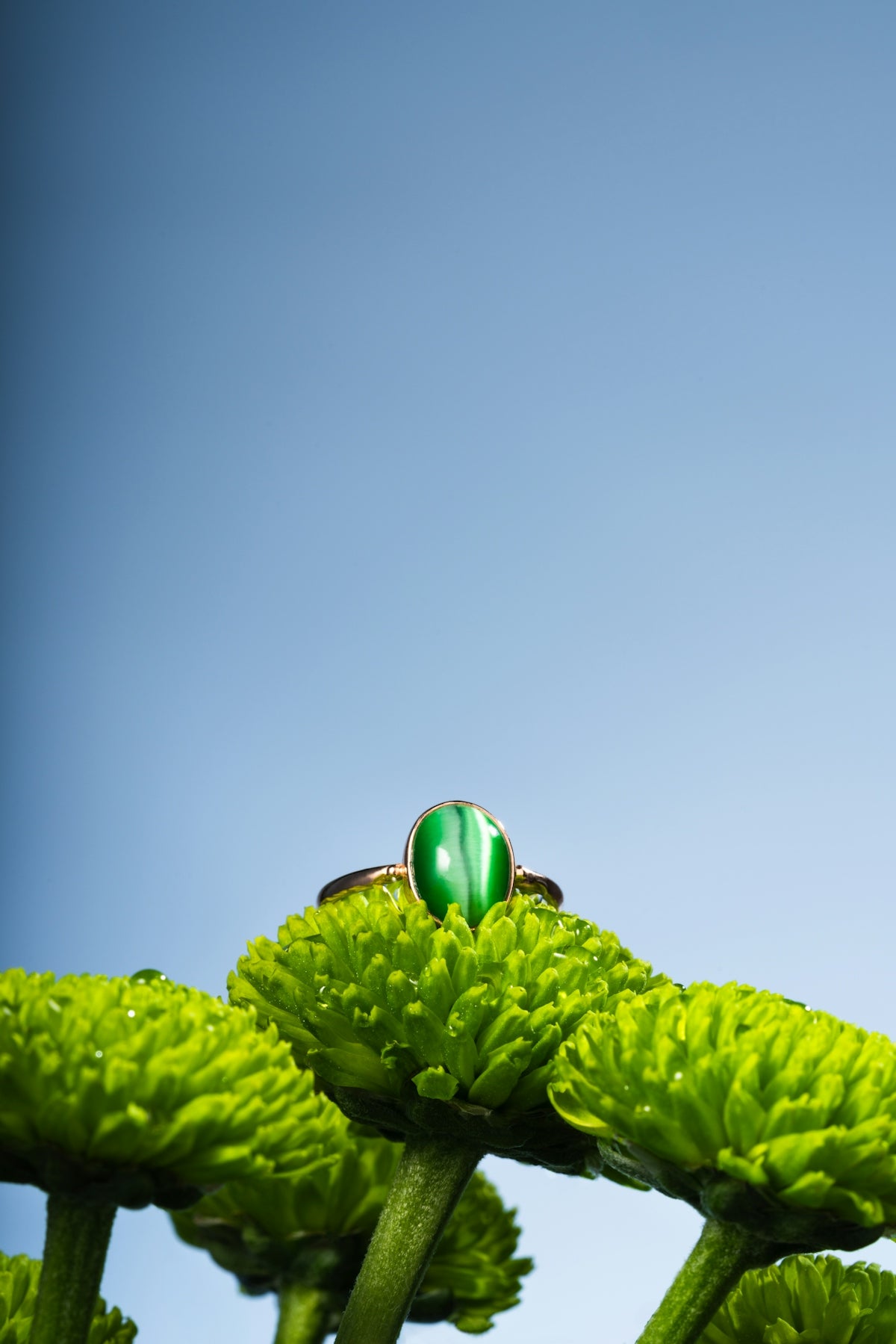 Gold ring with green gemstone on vibrant green flowers