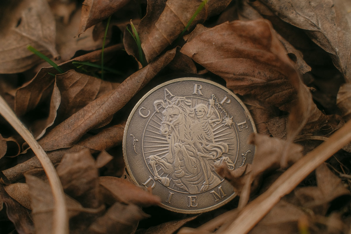 A silver coin rests on dry autumn leaves