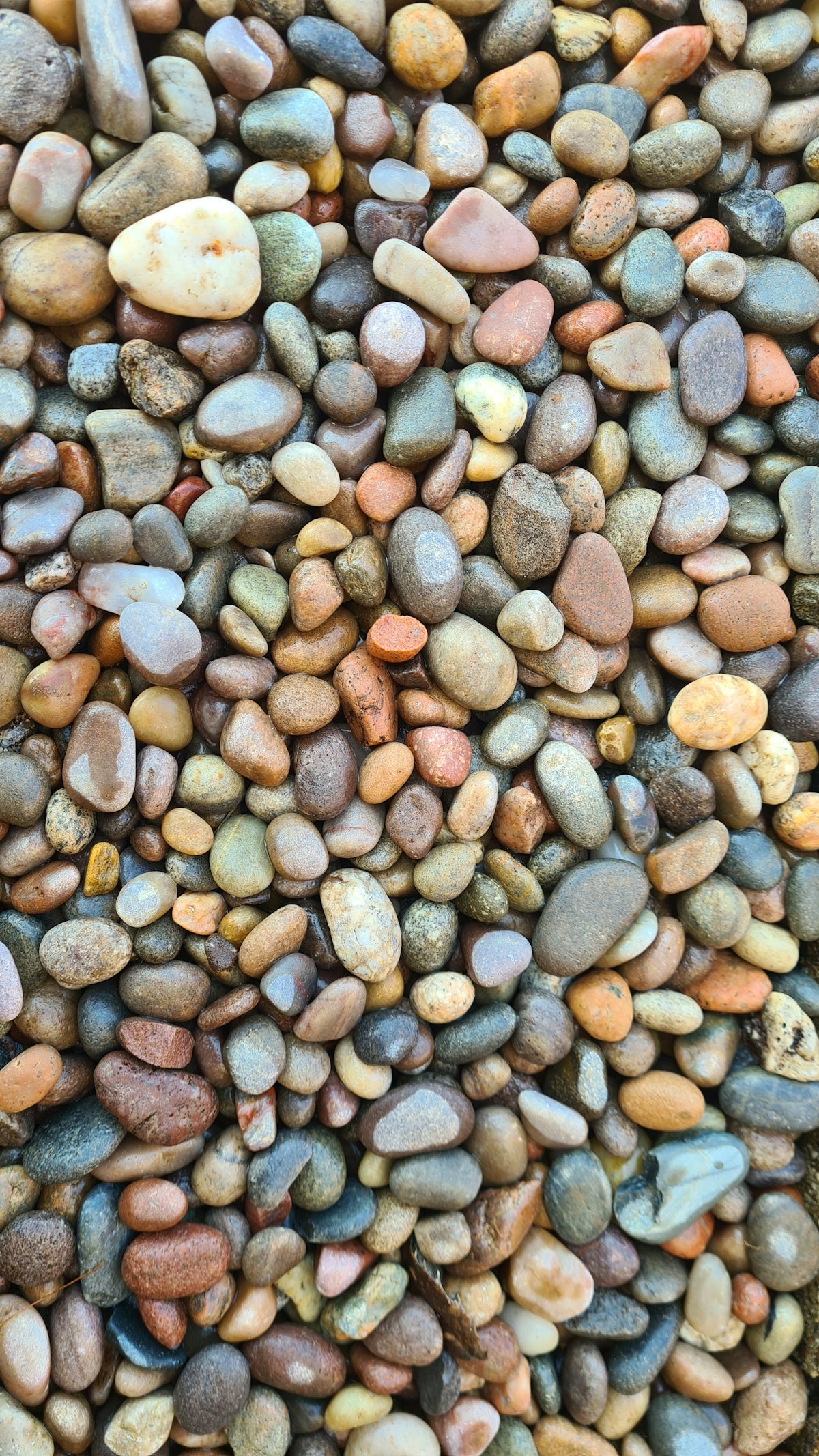 A collection of smooth, wet river stones in various colors.