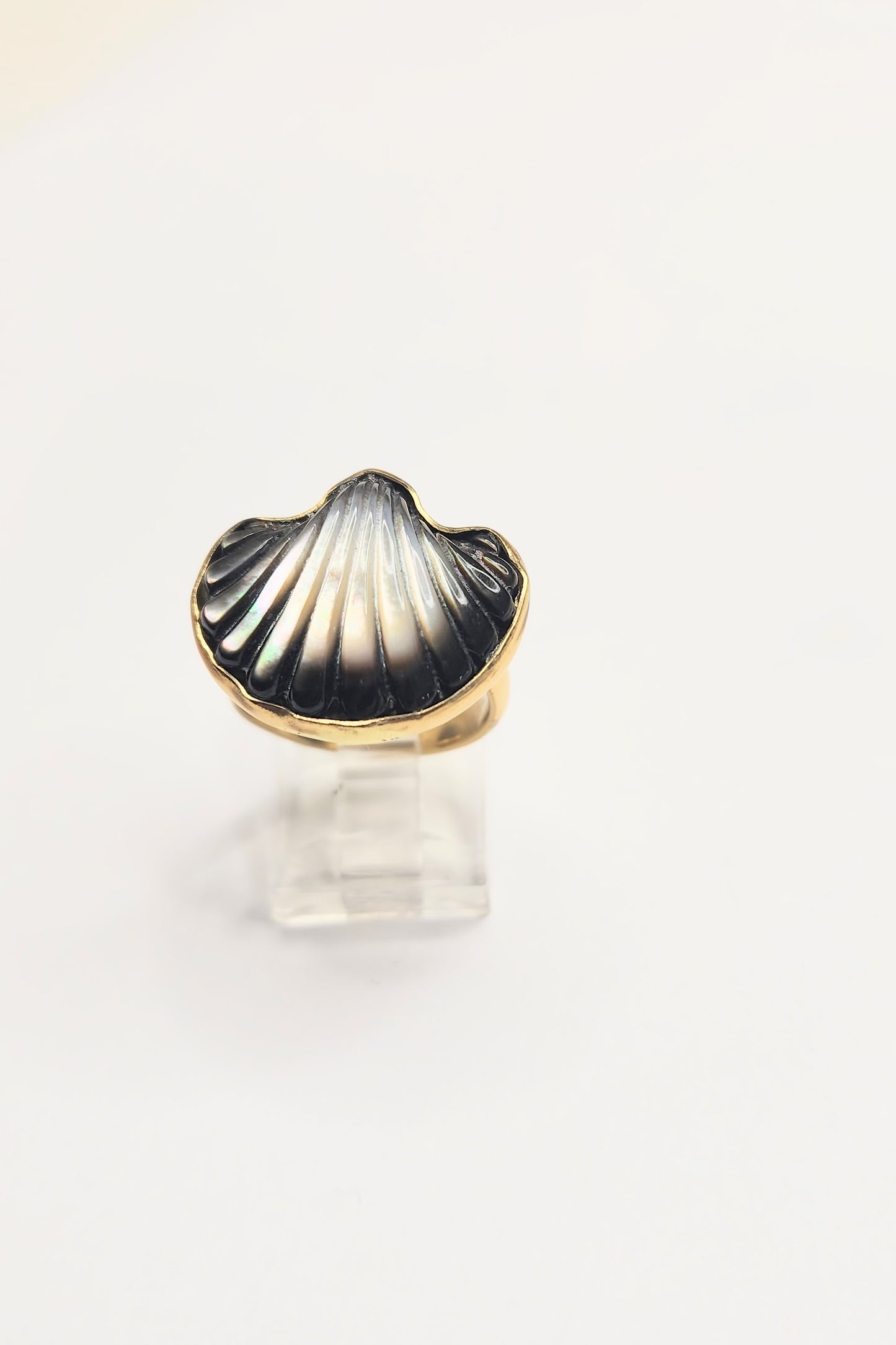 Mother of Pearl Clam Shell - Alchemia