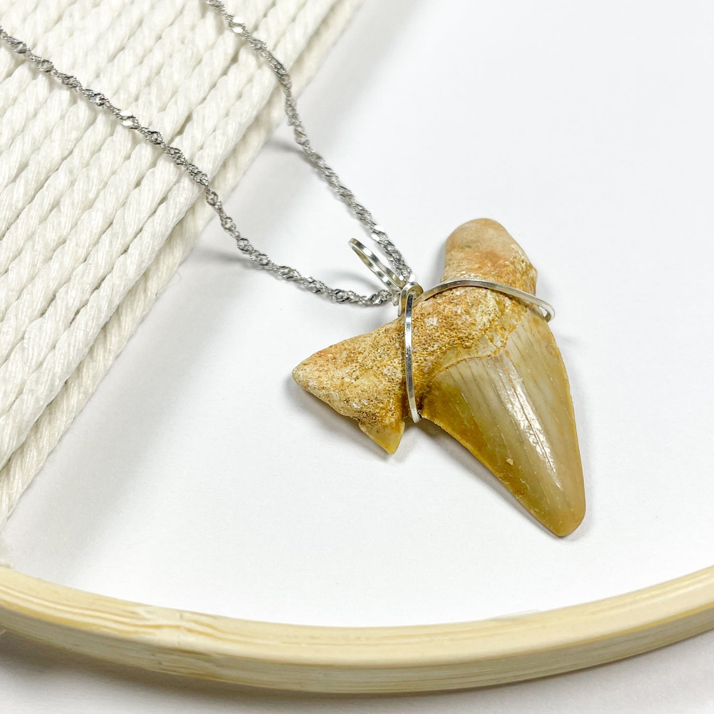 White Shark Tooth Pendant - Stainless Steel