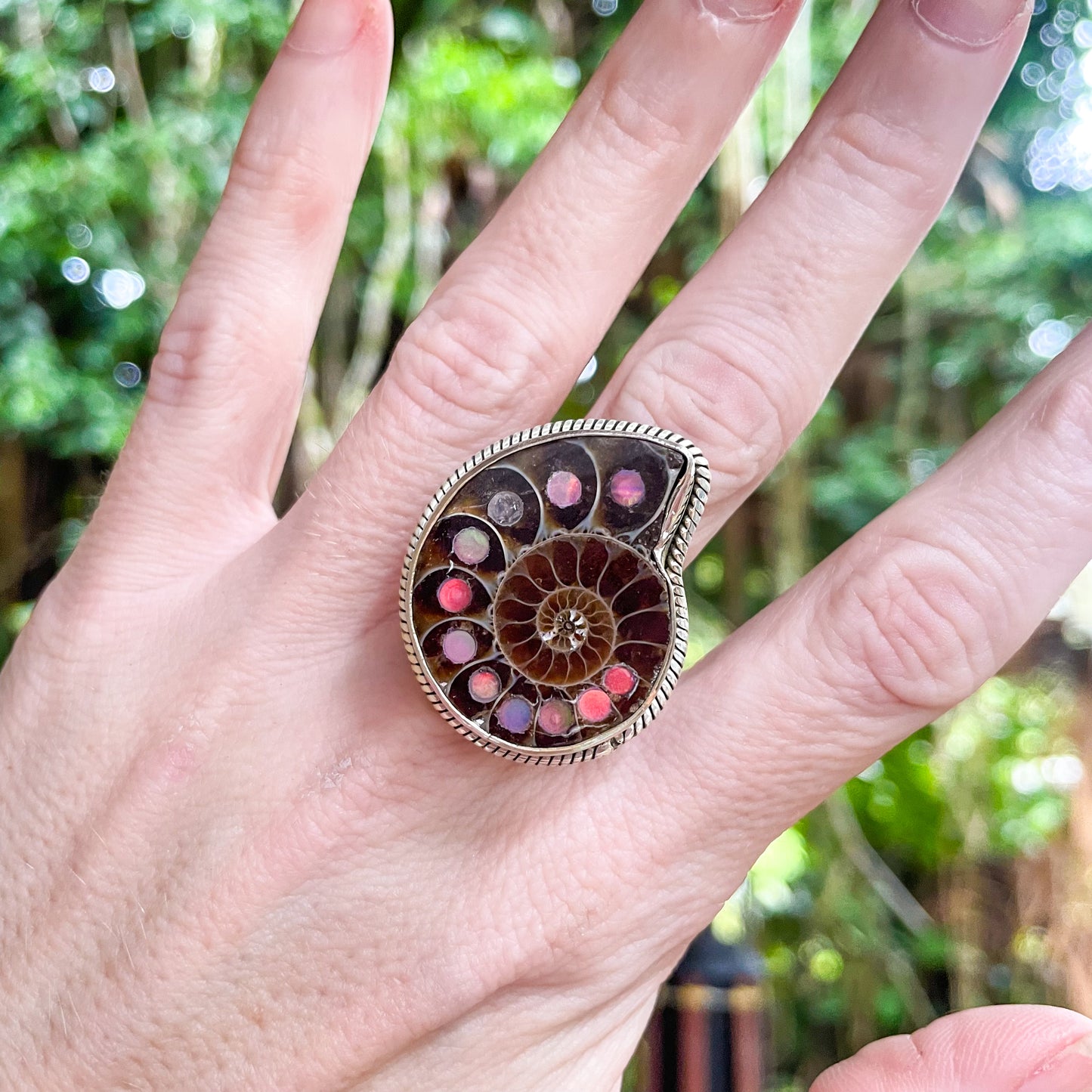 Galaxy Inlay Nautilus Shell Ring & Pendants - Solid Sterling Silver