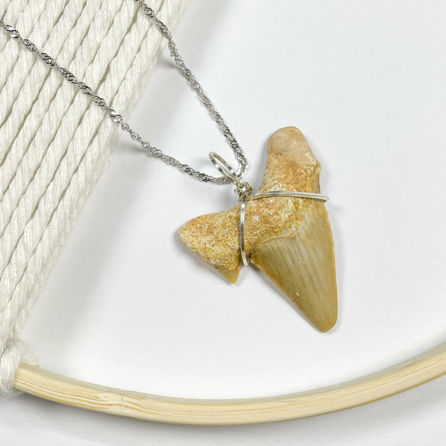 White Shark Tooth Pendant - Stainless Steel