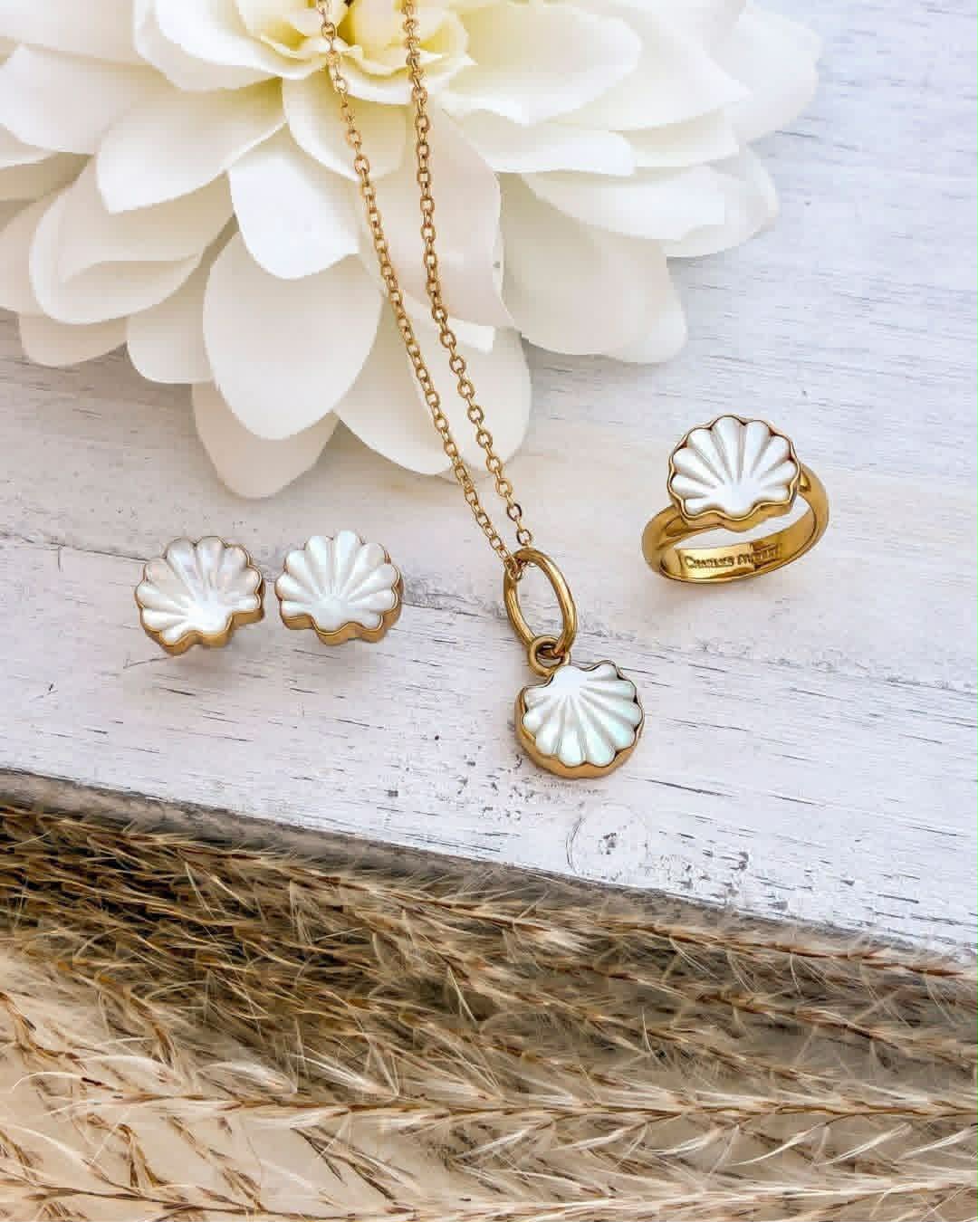 NEW Charles Albert SHELL Collection - Alchemia