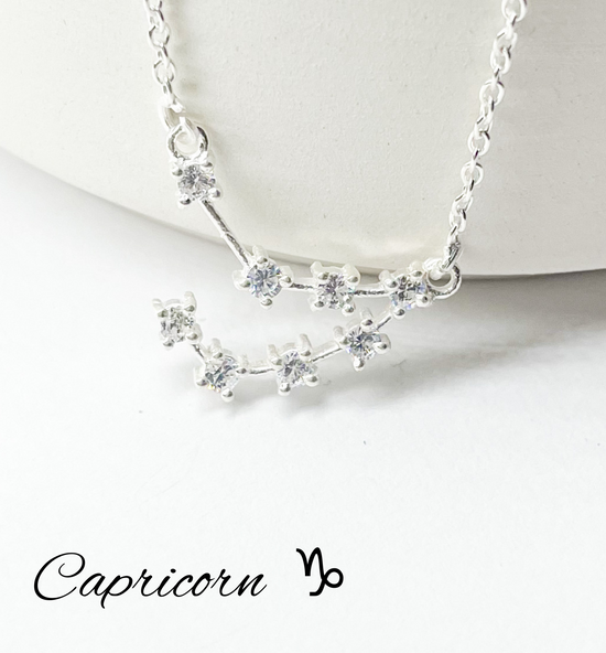 Capricorn Zodiac Necklace - Silver