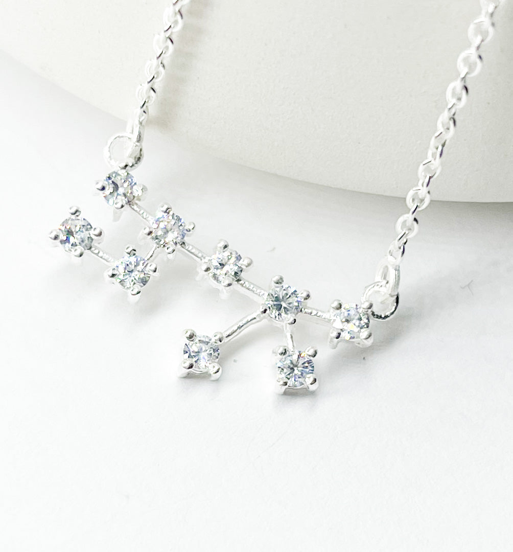 Leo Zodiac Necklace - Silver