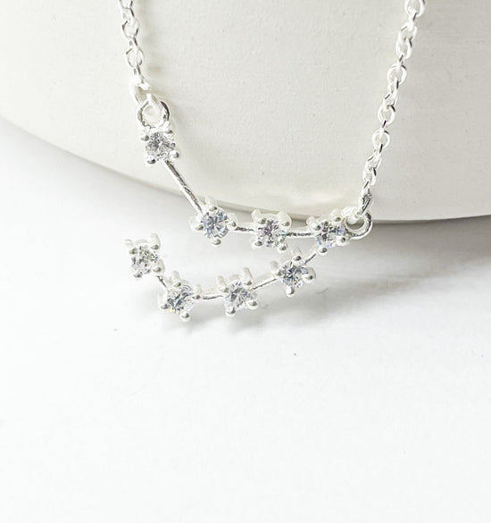 Capricorn Zodiac Necklace - Silver